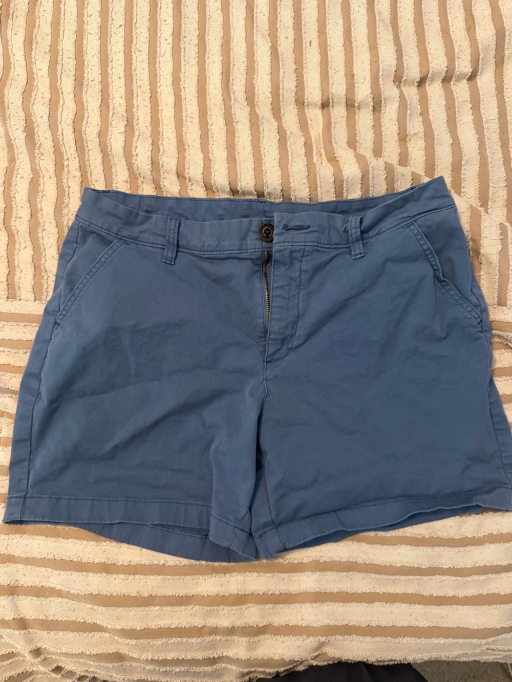Chubbies Blue Men's short